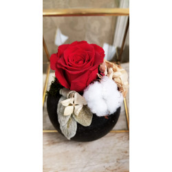 Rose stabilisée original ( rouge )