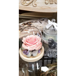 Roses stabilisées sous cloche.