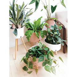 Cache-pot UP LOW - Handed By