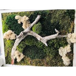 Tableau végétal stabilisé