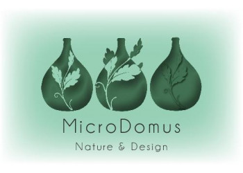 Microdomus
