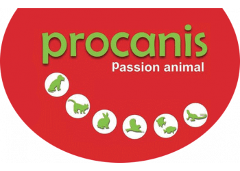 Procanis